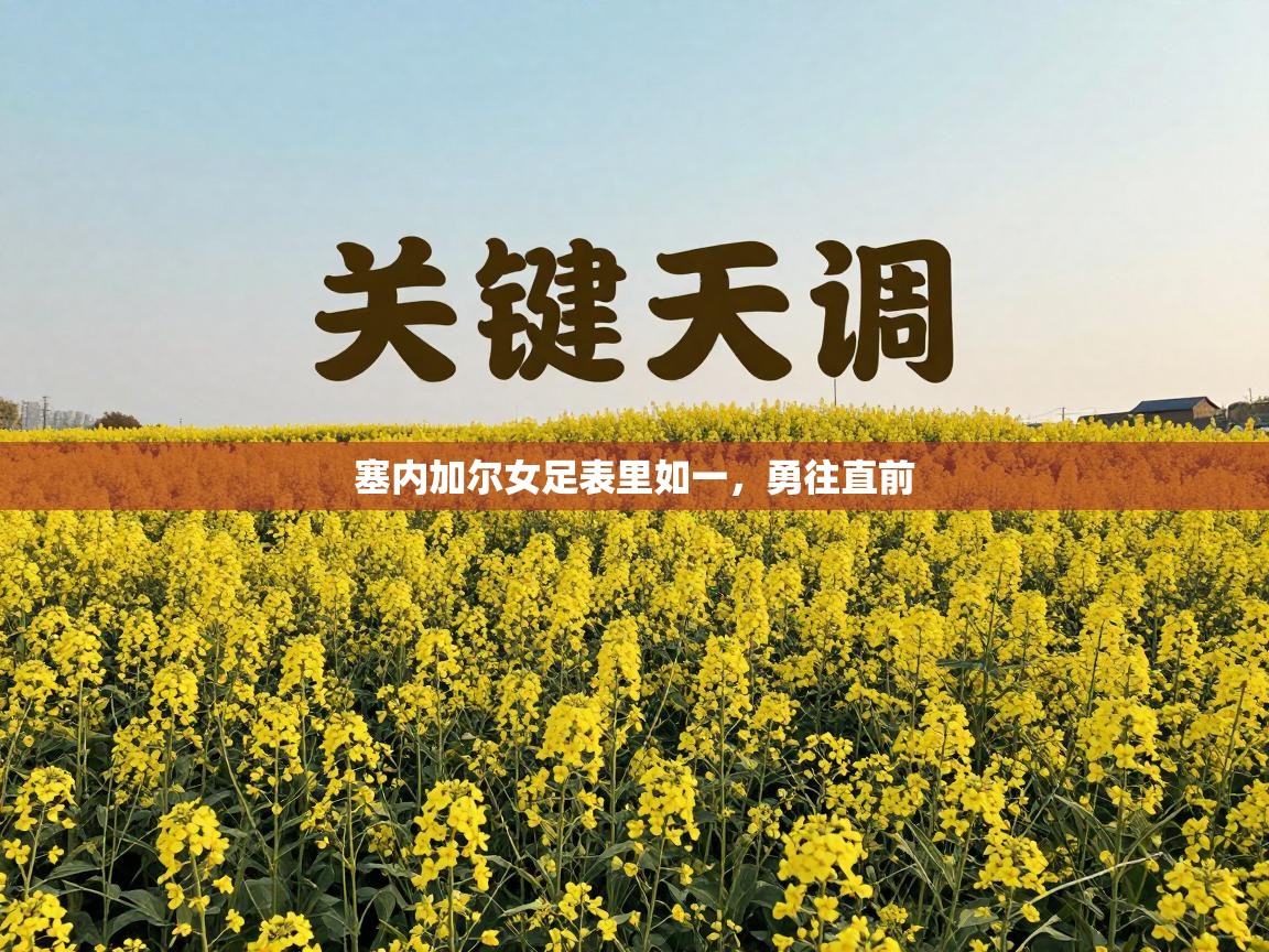 塞内加尔女足表里如一，勇往直前  第1张