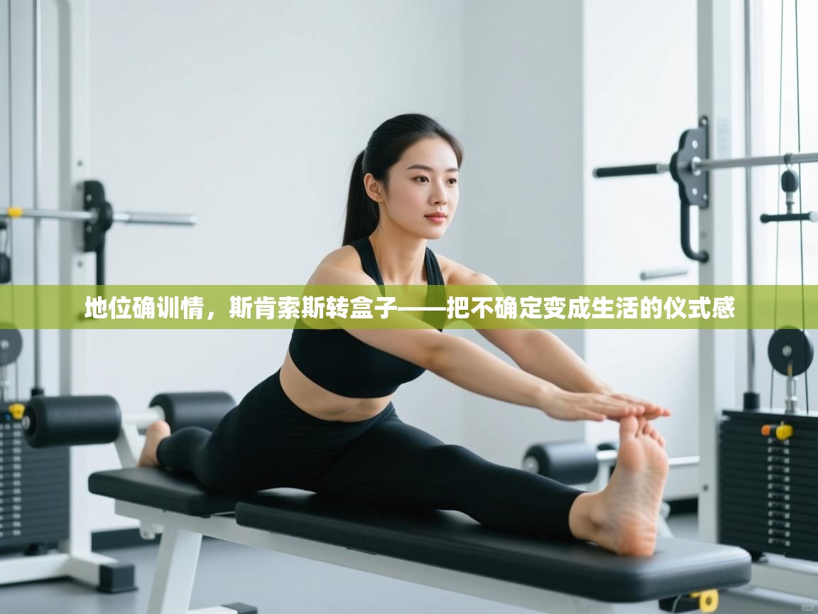 地位确训情，斯肯索斯转盒子——把不确定变成生活的仪式感  第1张